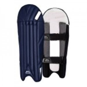 Wicket Keeping Pad